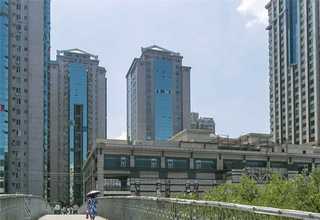 东莞至香港专线哪里有