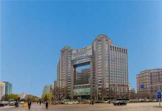 黑龙江国产固特异特点